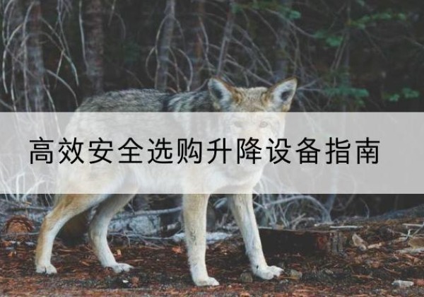 英山升降货梯厂家推荐-*安全选购升降设备指南