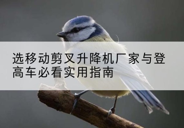 英山电动升降机厂家-选移动剪叉升降机厂家与登高车必看实用指南