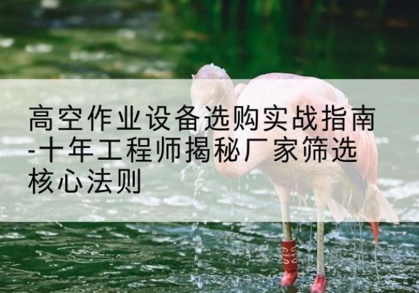 英山剪叉式升降机厂家-高空作业设备选购实战指南-十年工程师揭秘厂家筛选核心法则